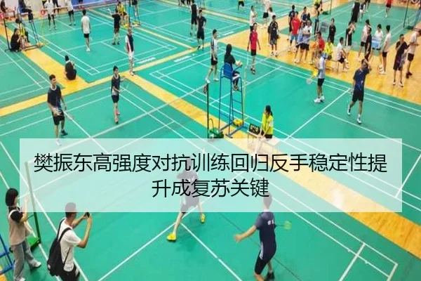 樊振东高强度对抗训练回归反手稳定性提升成复苏关键